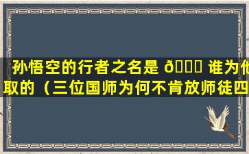 孙悟空的行者之名是 🐘 谁为他取的（三位国师为何不肯放师徒四人西去）